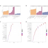生信分析tcga数据挖掘单细胞测序sci空间转录组网络药理微生物go