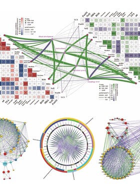 R语言代码Rstudio绘图SCI科研生信医学桑基热图数据分析作图