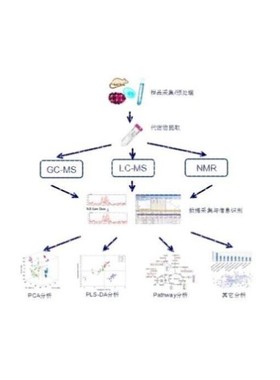 LCMS检测 液相色谱质谱分析检测 代谢组学 脂质组学 蛋白组学