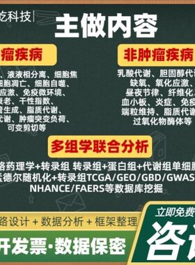 VASP计算 催化反应 热力学 动力学 第一性原理 模拟计算