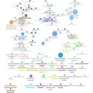 生信分析网络药理学孟德尔随机化MR实验外包标书单细胞转录组科研