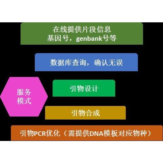 普通PCR测序引物设计或分子生物学小问题咨询