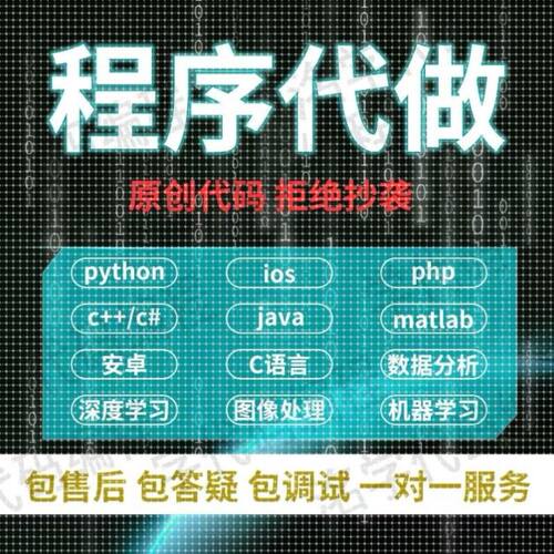 Python代编代码Java编写web程序设计c++代做C语言vb接单代写R