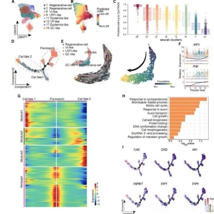 生信代谢组学分析 转录代谢 16s 宏基因组 二代测序 三代测序 RDA