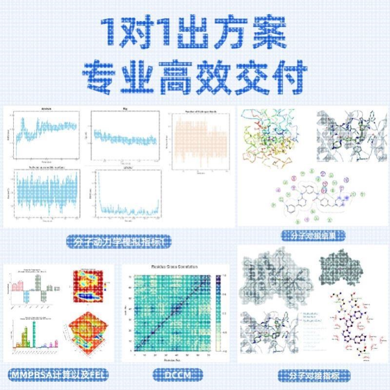 计算生物学,分子对接,蛋白-小分子对接,分子动力学模拟