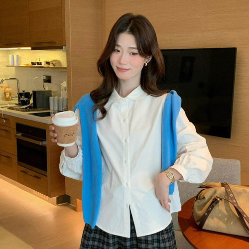 SUSAN秋季韩系温柔风减龄百搭显瘦净版气质小翻领长袖衬衫女T162H