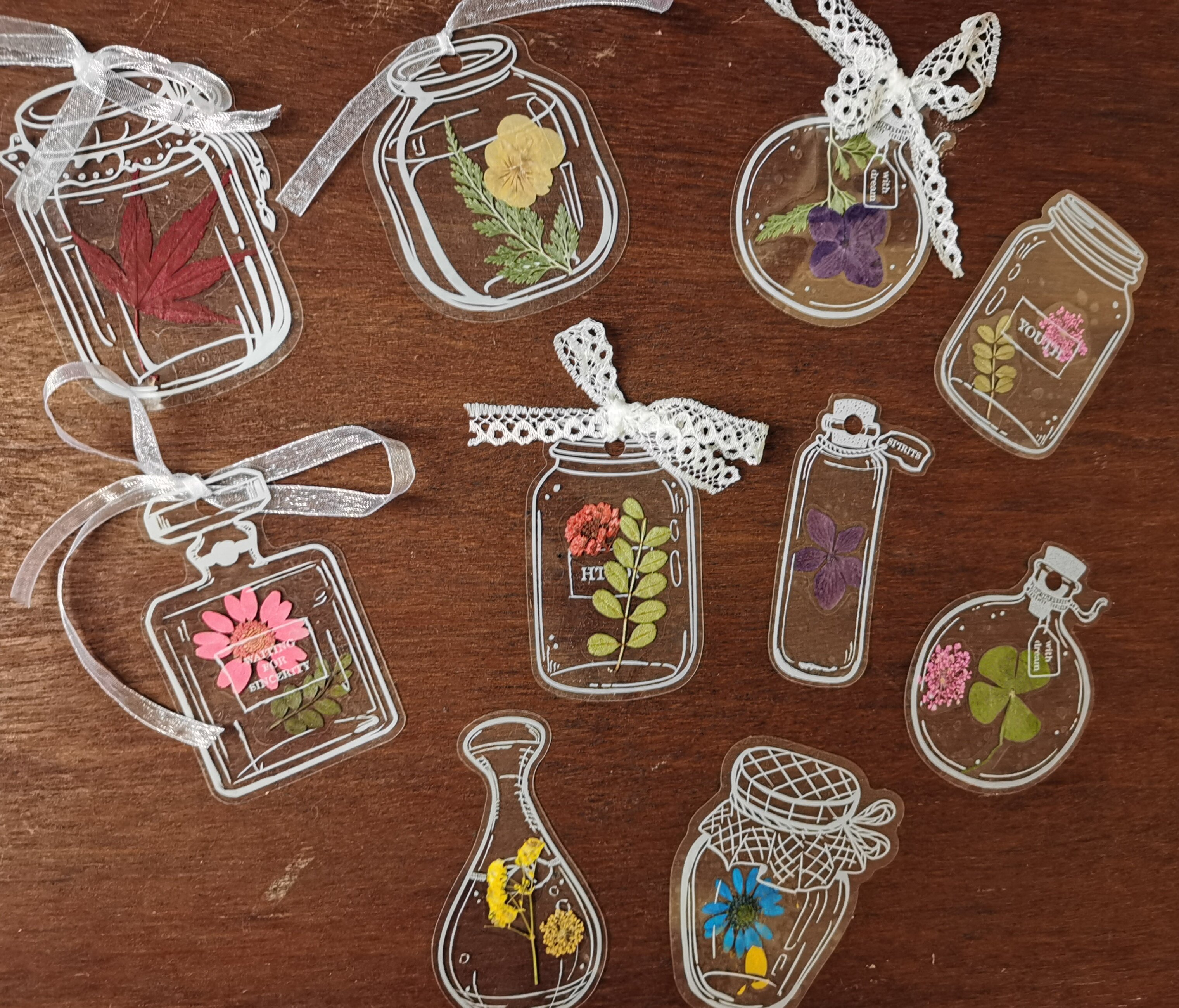 叶子标本制作塑封干花书签膜把秋天装进瓶子里春天的手工作品透明