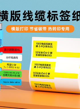 【B3S/B31/B4专用】精臣网线标签纸防水线缆标签彩色网络数据通信机房布线电线贴纸不干胶打印纸P型横版标签