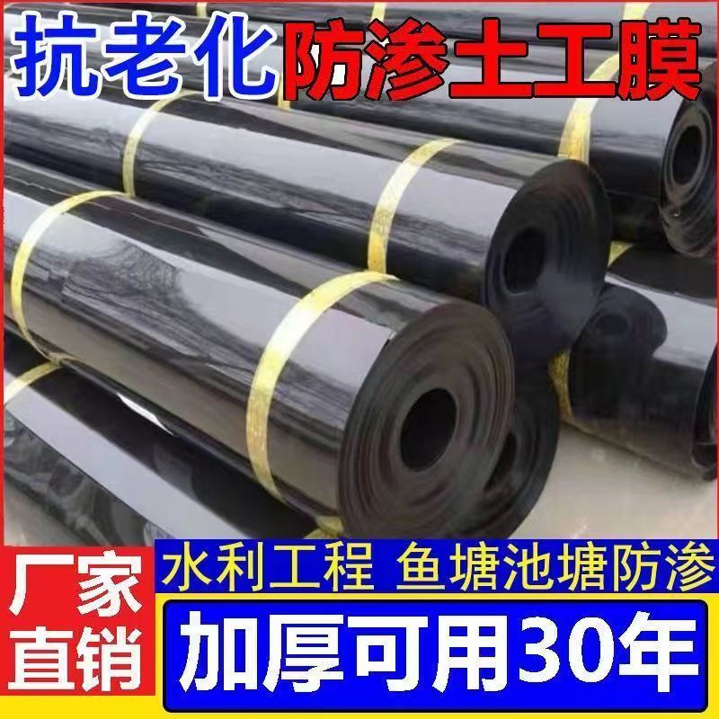 蓄水池鱼塘防渗膜土工膜
