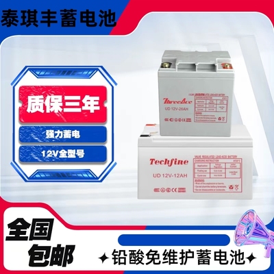Techfine泰琪丰蓄电池UD12V100AH65AH38AH33AH/UPS/EPS机房直流屏