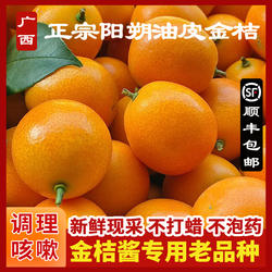 广西阳朔金桔油皮金桔鲜果直发正宗老品种麻皮金桔新鲜黄皮金桔酱
