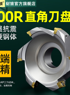 EAP300R/400R面铣刀盘50 63r0.8 80 100直角铣刀盘1604平面飞刀盘