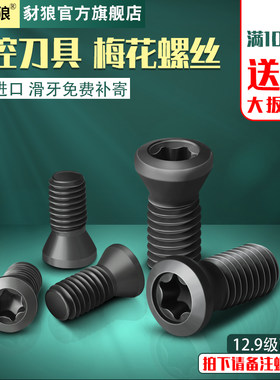 数控车刀刀杆螺丝12.9进口