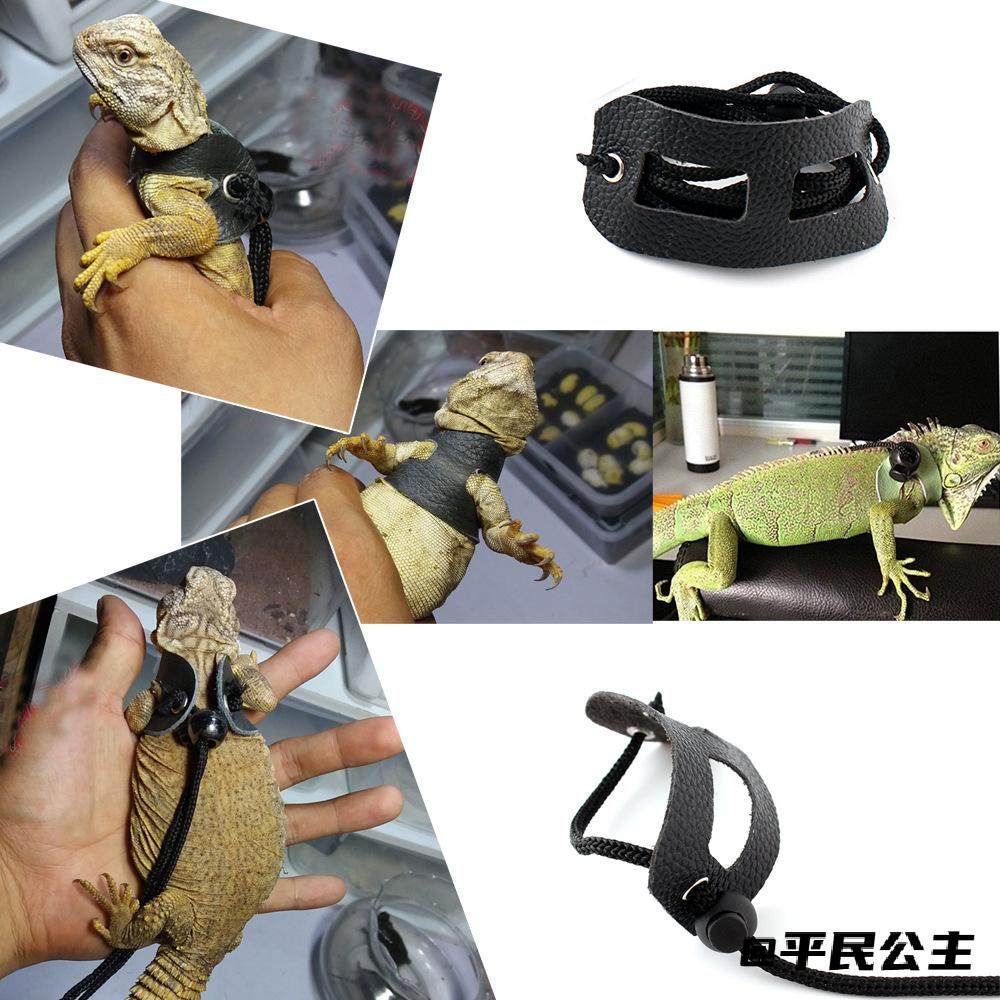 【小额】蜥蜴牵引绳 爬宠外出牵引 遛蜥蜴绳 牵引绳,宠物/宠物食品及用品,猫牵引绳,淘宝优惠券,粉丝福利购,淘宝优惠卷