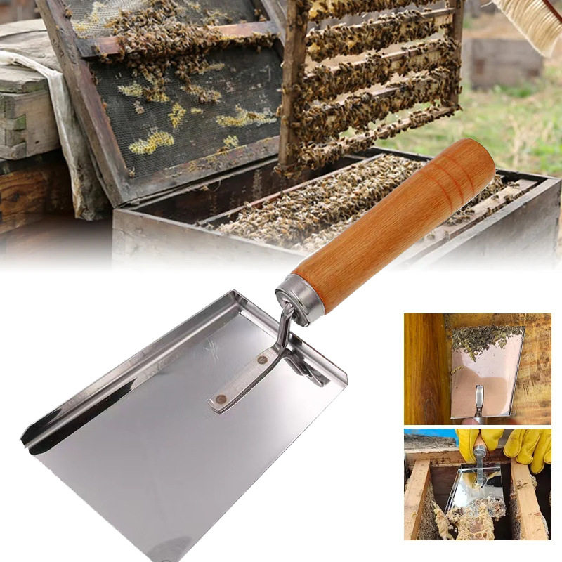 取蜡铲清洁工具清理铲取粉刮刀养蜂工具蜂具取蜡养蜂花粉铲花粉铲