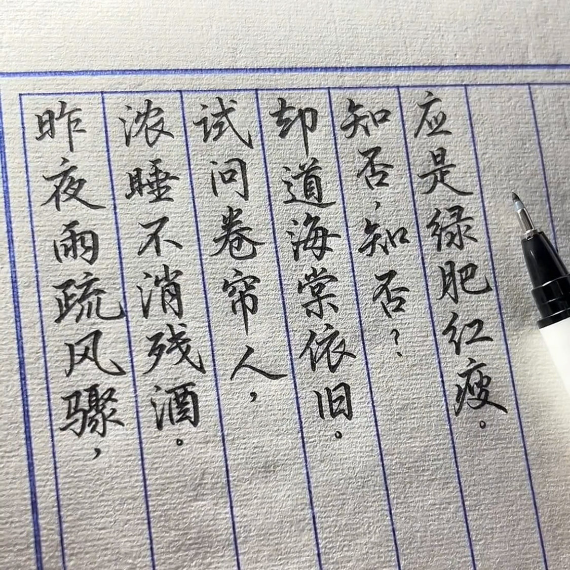 秀丽笔书法专用自带笔锋的笔