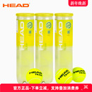 高弹 TEAM耐打练习专业比赛网球训练球4粒装 正品 海德网球初学HEAD