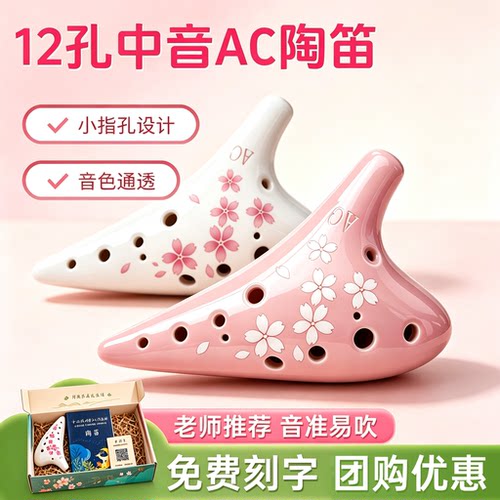 陶笛12孔小学生专用中音AC