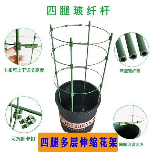 蟹爪兰专用支架花架支撑杆蟹爪兰支架花支架防倒昙花三角梅爬藤架图片