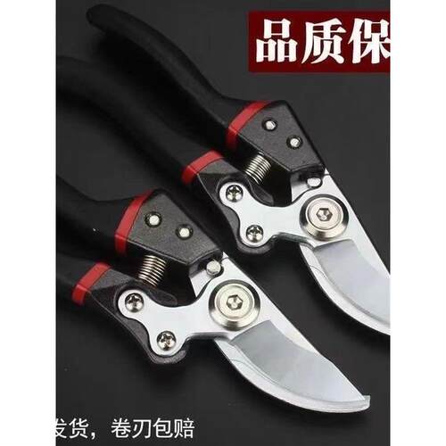 德国原装进口SK5强力园艺剪园林花卉修枝剪树剪子果树剪
