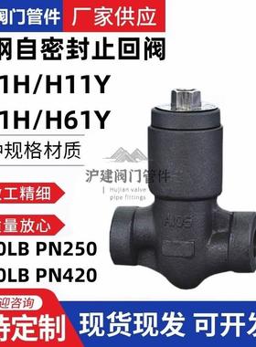 碳钢A105N自密封止回阀1500LB PN250 2500LB PN420升降式H11/61H