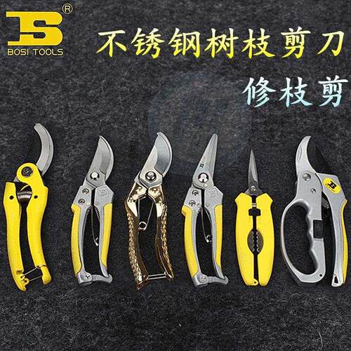 波斯树枝剪园林剪园艺花枝剪树枝粗枝剪果枝剪修枝剪果树修花剪刀