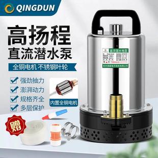 家用直流潜水泵12V24V农用抽水泵48V60V高扬程电瓶小型灌溉抽水机