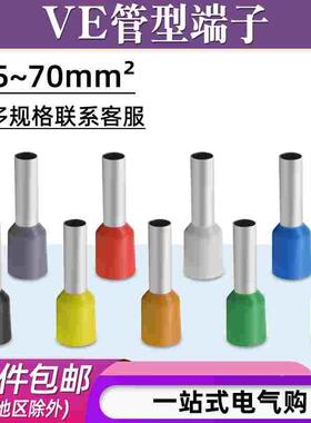 VE2508/E4009/E6012/E4012针形管型欧式预绝缘冷压接线端子铜鼻子