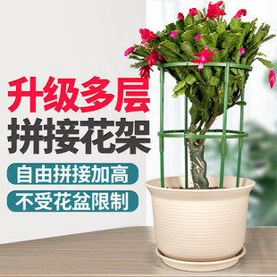 蟹爪兰花架专用支架托架杆兰花绿萝月季 支撑爬藤架花盆栽攀爬拼接