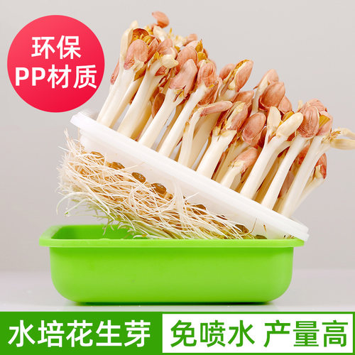 育苗盘花生芽水培新鲜育苗盘