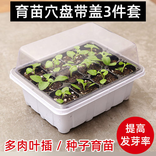 育苗神器穴盘营养杯塑料钵长方形托盘芽菜白菜扦插种植盒箱专用盆 - 封面