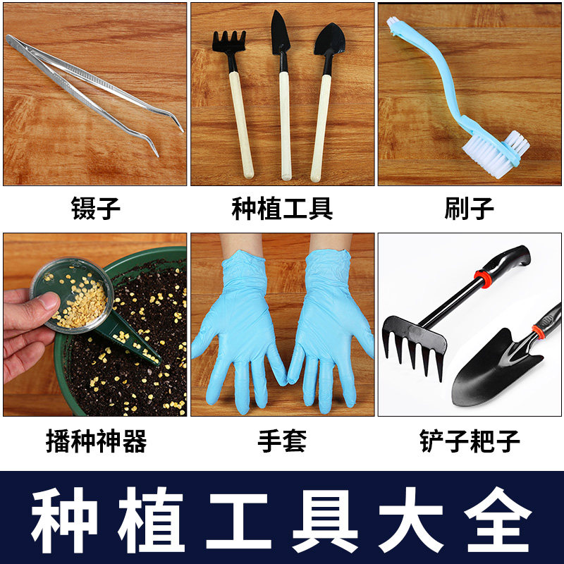 园艺种植手套喷壶种菜种花白菜