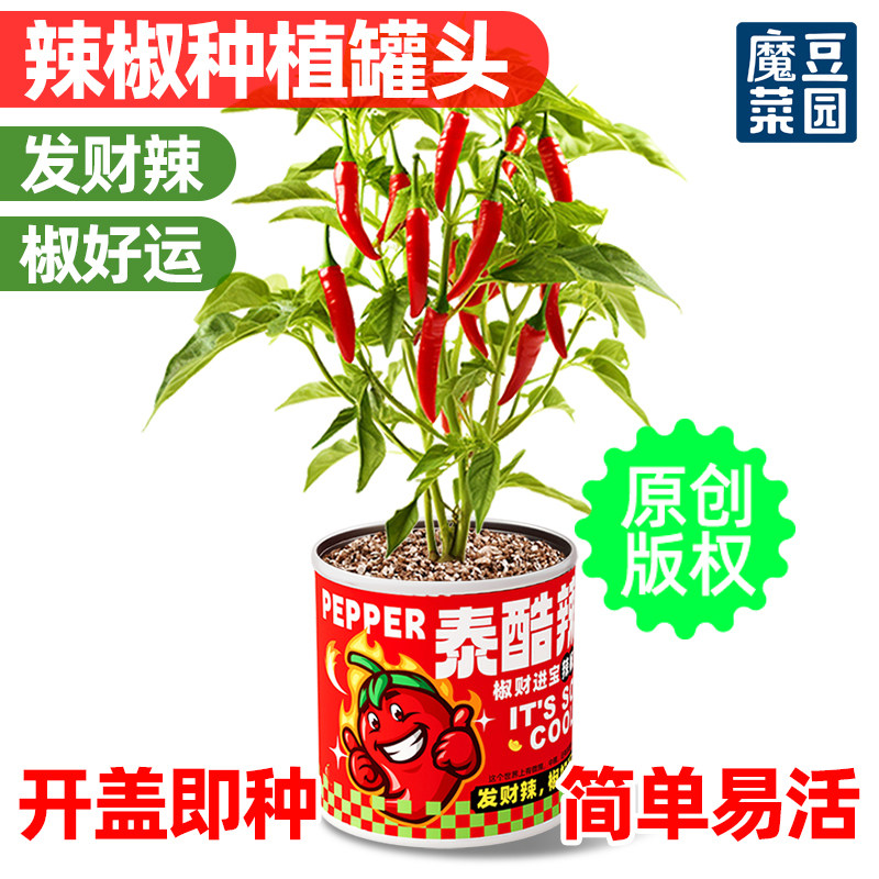 小花农泰酷辣儿童种植小盆栽辣椒种籽植物罐头迷你蔬菜办公室绿植,鲜花速递/花卉仿真/绿植园艺,苔藓微景观,淘宝优惠券,粉丝福利购,淘宝优惠卷