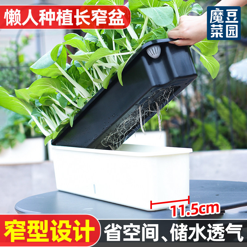 家庭阳台种菜盆长方形专用箱自吸水懒人花盆自动窄型塑料盆栽神器,鲜花速递/花卉仿真/绿植园艺,花盆,淘宝优惠券,粉丝福利购,淘宝优惠卷
