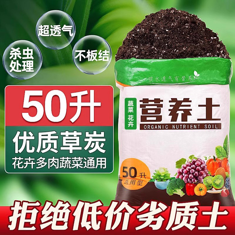 营养土多肉有机盆栽家用图片