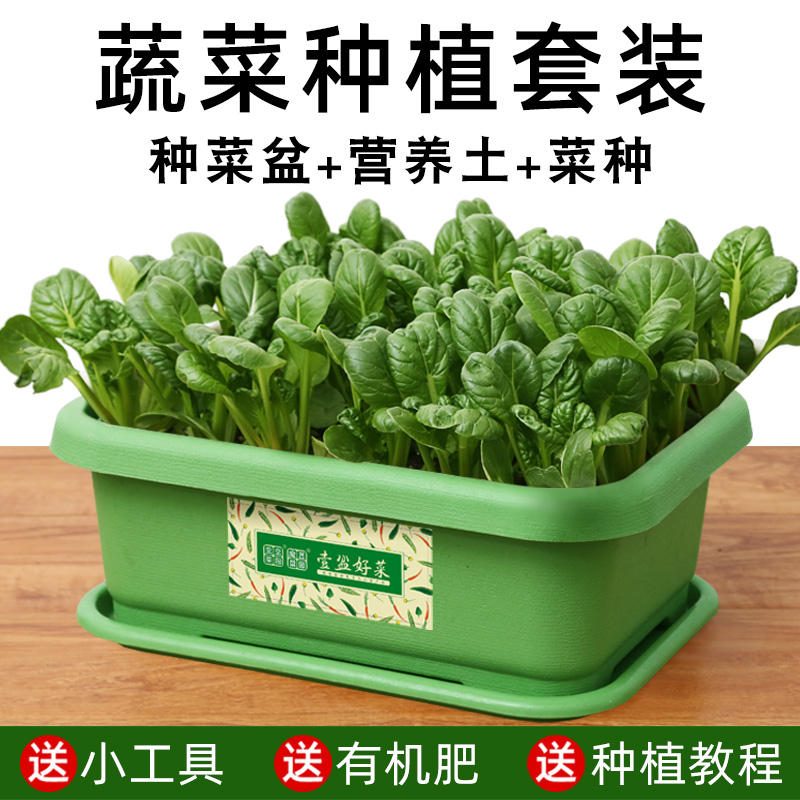 家庭蔬菜种菜盆阳台楼顶专用种植神器长方形塑料大号花盆室内家用