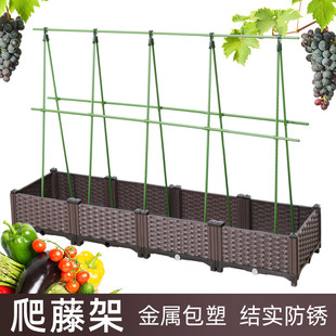 种植箱爬藤架园艺植物月季 黄瓜豆角葡萄支撑杆花植物攀爬固定户外