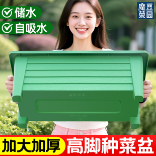阳台种菜盆专用长条方形懒人特大号塑料家用自吸水家庭高脚花盆箱