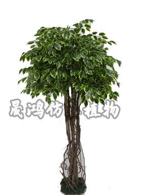 仿真绿色榕树公园假榕树大门装饰造景室内外靠墙榕树客厅摆设
