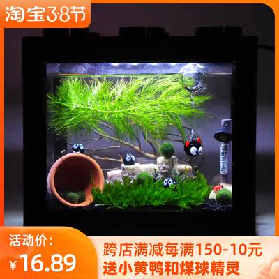 .海藻球微景观生态缸室内桌面趣味鱼缸水培植物球藻小盆栽创意礼