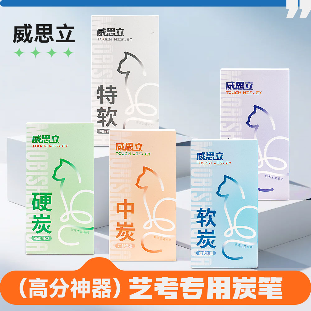 威思立炭笔美术生专用素描软炭笔特软中硬套装速写笔铅笔学生绘画