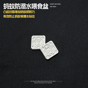 蚂蚁防溺水喂食盆