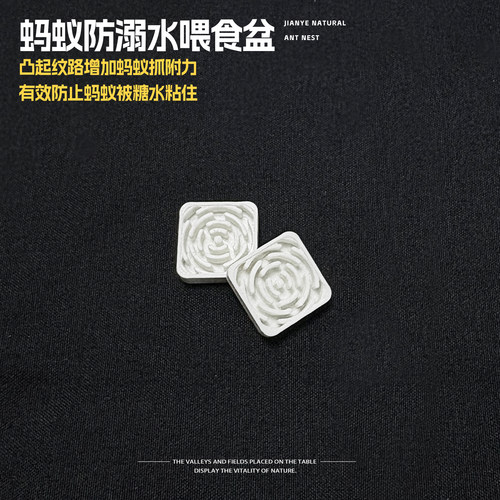 涧野自然蚁巢蚂蚁防溺水喂食盆