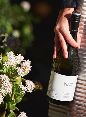 新西兰航空酒单 卡特琳娜之声长相思干白葡萄酒 Cataline Sounds