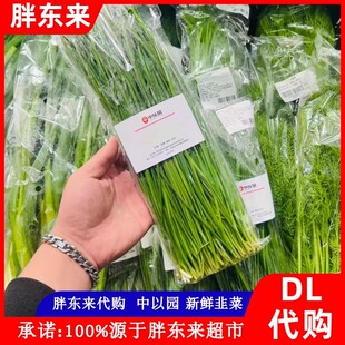 胖东来代购 中以园韭菜绿叶菜饺子馅火锅新鲜头茬韭菜包子烧烤