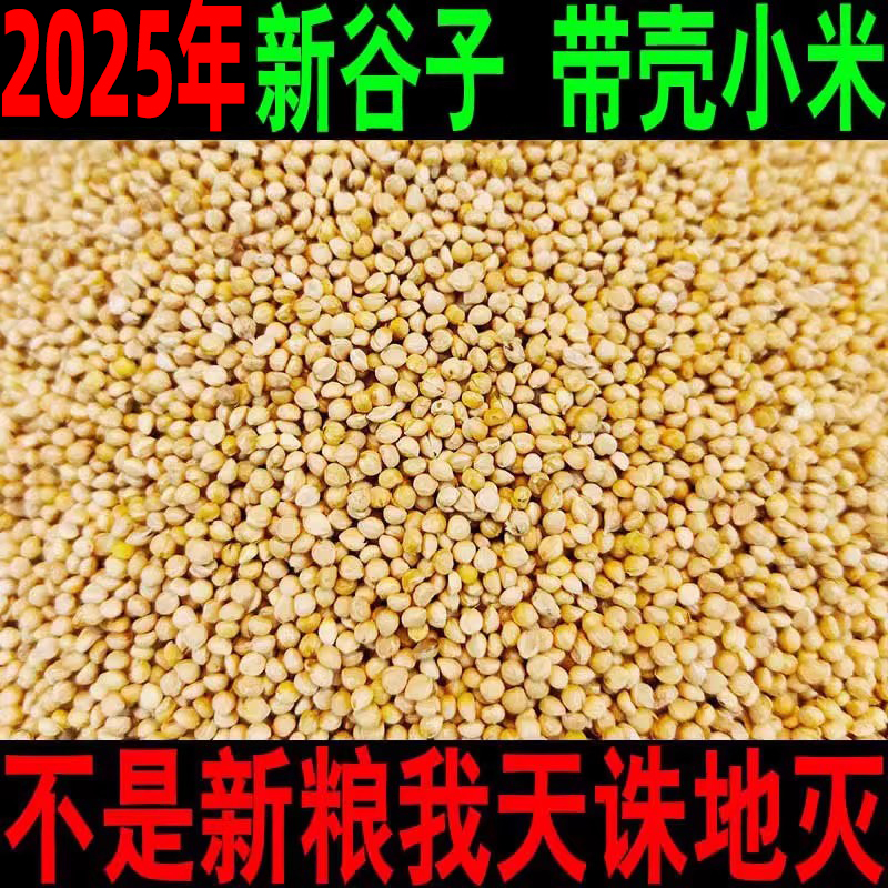 2024年新谷子带壳鸟粮鸡粮种子粮