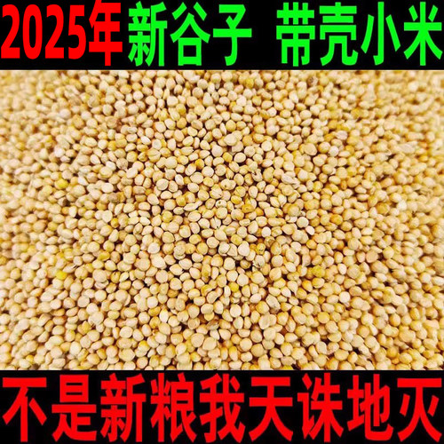 2024年新谷子带壳鸟粮鸡粮种子粮