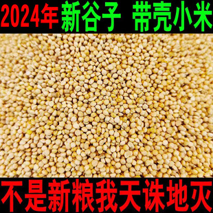 黄谷子鸟粮带壳喂鸡鹦鹉鸟食带壳小米新粮种子粮玄凤虎皮饲料种籽