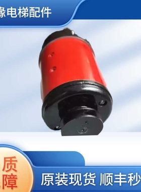 110SZ56H3电梯门电机110SZ61直流电动机130SZ06直流门机马达