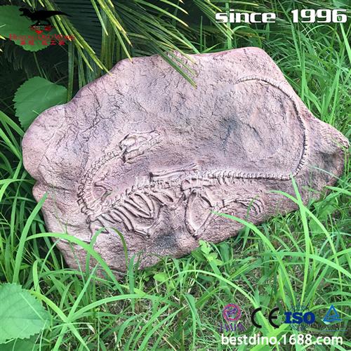 高度仿真恐龙化石骨架可用于学校教学公园引流各种收藏摆件